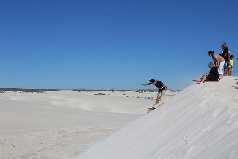 Pinnacles And Yanchep National Park Day Trip From Perth Including Lobster Shack Lunch And Sandboarding - Accommodation China 4