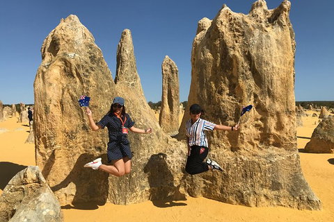 Pinnacles And Yanchep National Park Day Trip From Perth Including Lobster Shack Lunch And Sandboarding - Accommodation China 2