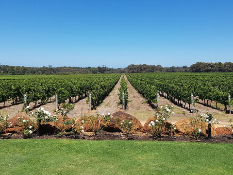 Margaret River Food, Wine & Sightseeing Tour From Perth - Accommodation Guide 5