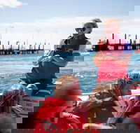 Rottnest Island Tour from Perth or Fremantle including Adventure Speed Boat Ride - Accommodation Guide