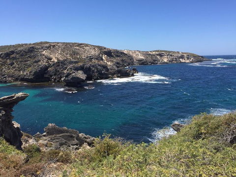 Rottnest Island Tour From Perth Or Fremantle Including Bus Tour - Accommodation China 3