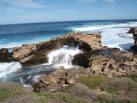 Rottnest Island Tour From Perth Or Fremantle Including Bus Tour - Accommodation China 5