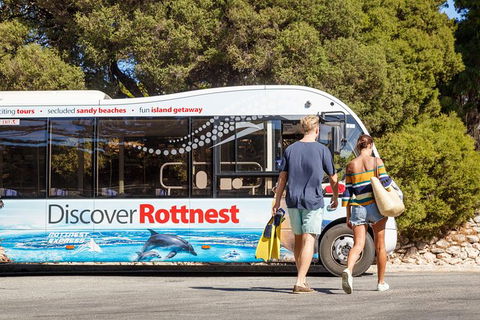 Rottnest Island Tour From Perth Or Fremantle Including Bus Tour - Accommodation China 9
