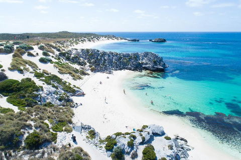 Rottnest Island Tour From Perth Or Fremantle Including Bus Tour - Accommodation China 7