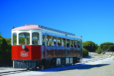 Rottnest Island Grand Tour Including Lunch And Historical Train Ride - Accommodation Guide 1