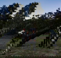 Stargazing Busselton with Mobile Observatory - Accommodation China