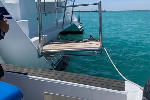 Snubfin Dolphin Eco Cruise From Broome - Accommodation Asia 15