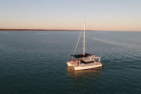 Snubfin Dolphin Eco Cruise From Broome - Accommodation Asia 12