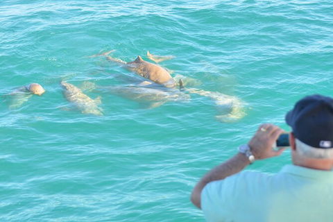 Snubfin Dolphin Eco Cruise From Broome - Accommodation Asia 3