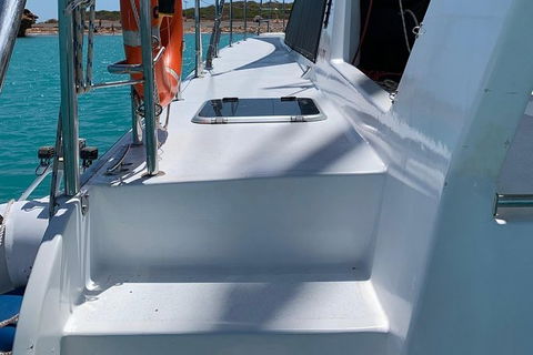 Snubfin Dolphin Eco Cruise From Broome - Accommodation Asia 13