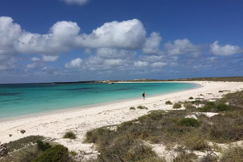 Abrolhos Island Half Day Fly And Flipper - Accommodation Guide 0