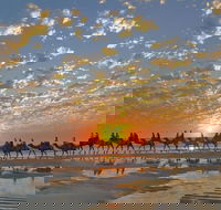Broome City Sightseeing Tour with Optional Camel Ride - Accommodation Asia