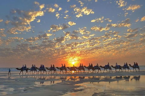 Broome City Sightseeing Tour With Optional Camel Ride - Accommodation Asia 0