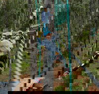 Busselton High Ropes and Zipline Adventure - Accommodation China