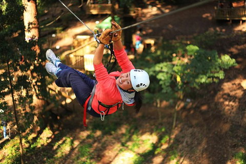 Trees Adventure Lane Poole Park - Treetop & Zipline Experience - Accommodation Guide 0
