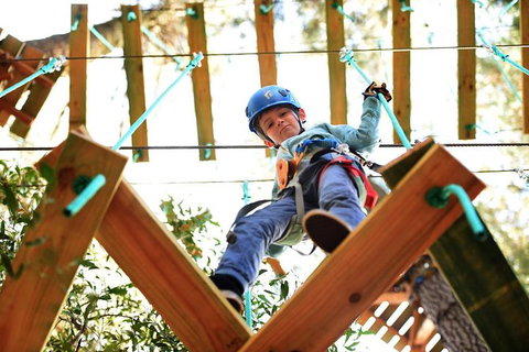 Trees Adventure Lane Poole Park - Treetop & Zipline Experience - Accommodation Guide 1