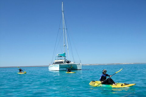 3 Night Ningaloo Reef Snorkel And Dive Getaway From Coral Bay - Accommodation Asia 7