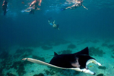 3 Night Ningaloo Reef Snorkel And Dive Getaway From Coral Bay - Accommodation Asia 6