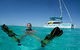 3 Night Ningaloo Reef Snorkel And Dive Getaway From Coral Bay - thumb 5