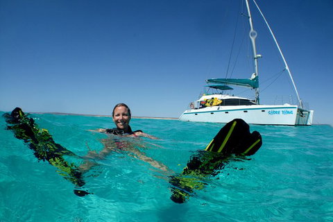 3 Night Ningaloo Reef Snorkel And Dive Getaway From Coral Bay - Accommodation Asia 5