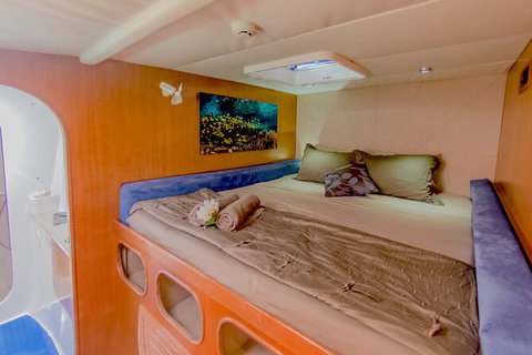 3 Night Ningaloo Reef Snorkel And Dive Getaway From Coral Bay - Accommodation Asia 8