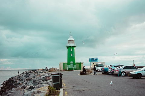 Penguin Island And Fremantle - Canoe, Chocolate & Coffee - Accommodation Guide 1