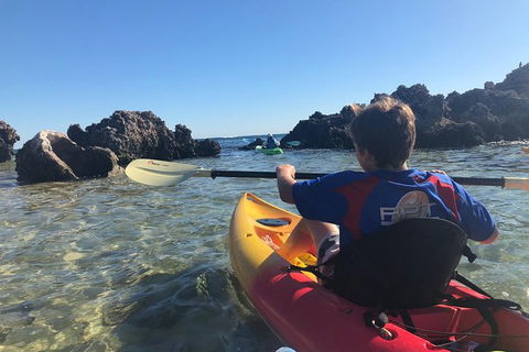 Penguin Island And Fremantle - Canoe, Chocolate & Coffee - Accommodation Guide 0
