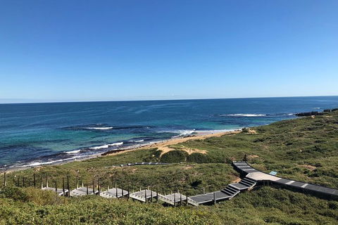 Penguin Island And Fremantle - Canoe, Chocolate & Coffee - Accommodation Guide 3
