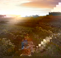 Leeuwin Estate Food and Wine Experience - Accommodation China