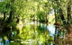 Mitchell Falls Tour - Mt Hart, Mitchell Falls, Horizontal Falls & Cape Leveque - thumb 9