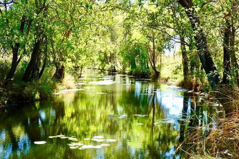 Mitchell Falls Tour - Mt Hart, Mitchell Falls, Horizontal Falls & Cape Leveque - Accommodation Asia 9