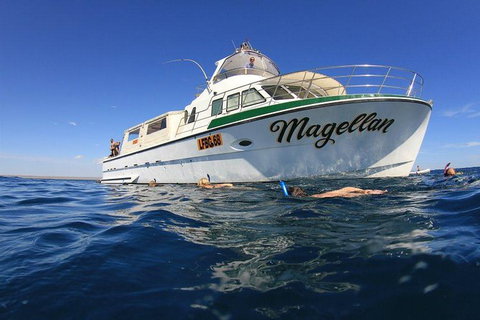 Ningaloo Reef Whale Shark Snorkeling Adventure Apr-July - Accommodation Asia 1