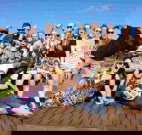 Margies Big Day Out Beer  Wine Tours - Accommodation China