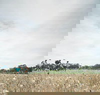 Electric Bike Winery and Brewery Tour - Accommodation China