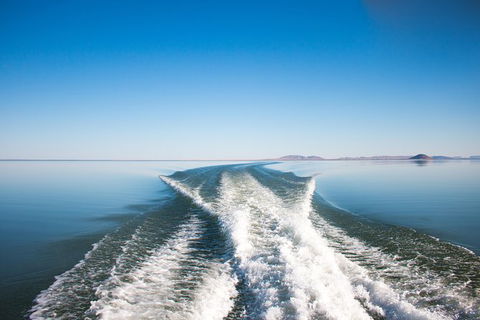 Lake Argyle Best Of Lake Argyle Cruise Departing Kununurra - Accommodation Asia 5