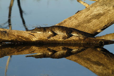 Lake Argyle Best Of Lake Argyle Cruise Departing Kununurra - Accommodation Asia 9