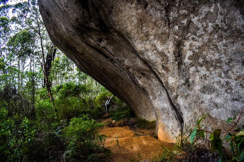 Porongurup Nature & History Eco Tour - Accommodation Asia 0