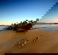 Phillip Island Ultimate Penguin Eco Tour or Skybox Experience - Accommodation China