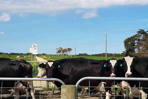 Great Southern Getaway Cycle Tour - Accommodation Guide 9