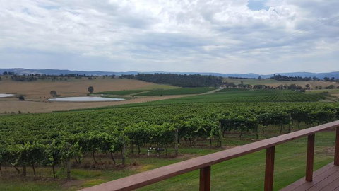 Yarra Valley Winery Tour From Melbourne Including Lunch And Yarra Valley Chocolaterie - Accommodation China 2