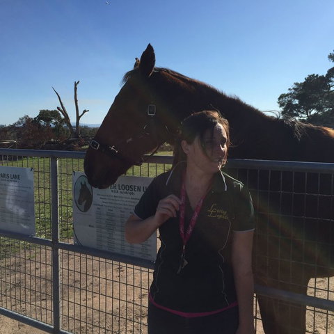 Champion Racehorse Tour With Beer And Wine Tasting - Accommodation Guide 4