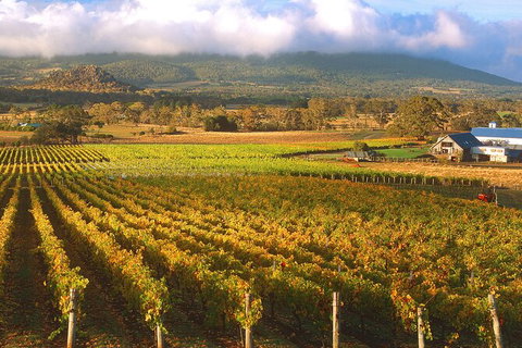 Champion Racehorse Tour With Beer And Wine Tasting - Accommodation Guide 6