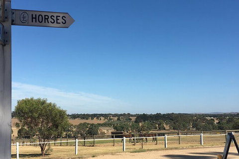 Champion Racehorse Tour With Beer And Wine Tasting - Accommodation Guide 7