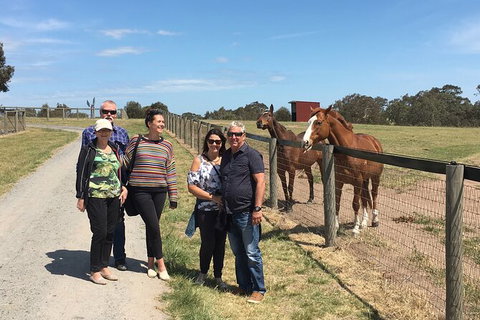 Champion Racehorse Tour With Beer And Wine Tasting - Accommodation Guide 10