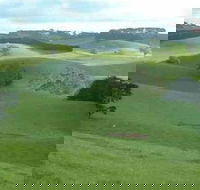 Day Tour of Phillip Island  Surrounding Region - Accommodation China