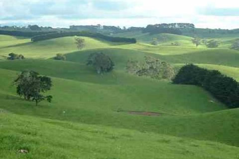 Day Tour Of Phillip Island & Surrounding Region - Accommodation Asia 0