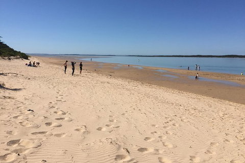 Day Tour Of Phillip Island & Surrounding Region - Accommodation Asia 8