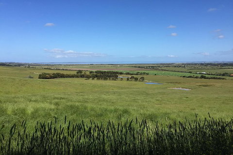 Day Tour Of Phillip Island & Surrounding Region - Accommodation Asia 4