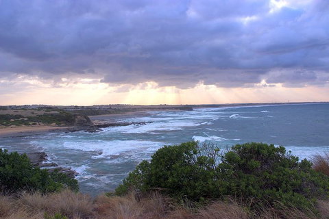 Day Tour Of Phillip Island & Surrounding Region - Accommodation Asia 12