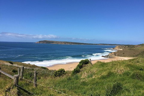 Day Tour Of Phillip Island & Surrounding Region - Accommodation Asia 5